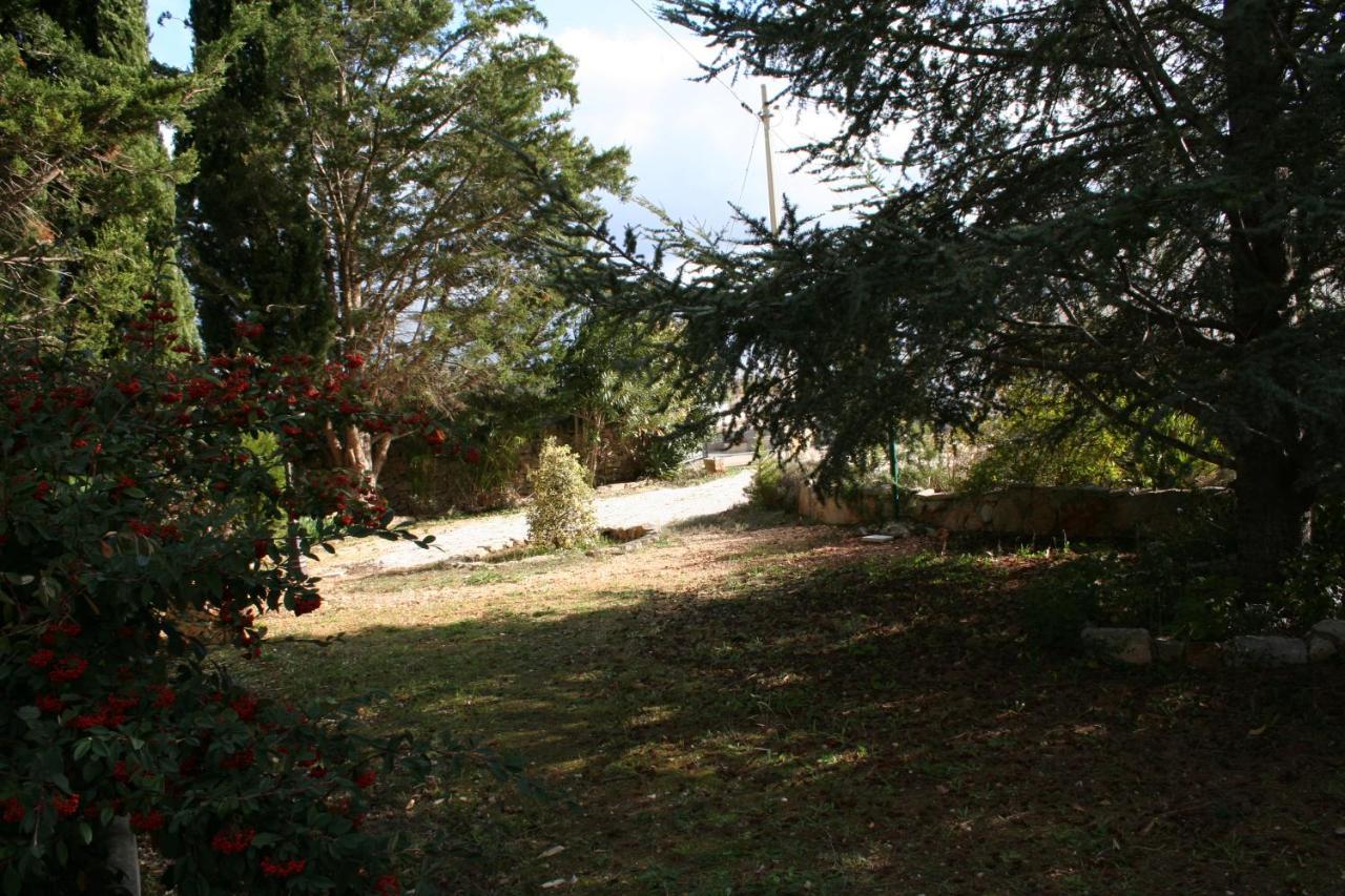 Casa Vacanza I Cedri Martina Franca Kültér fotó