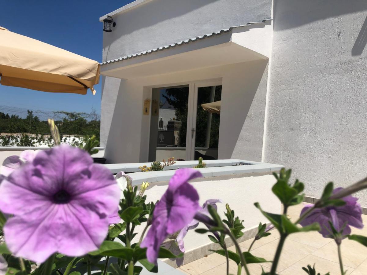 Casa Vacanza I Cedri Martina Franca Kültér fotó